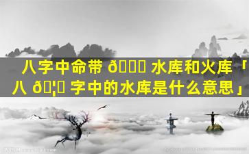 八字中命带 🕊 水库和火库「八 🦄 字中的水库是什么意思」